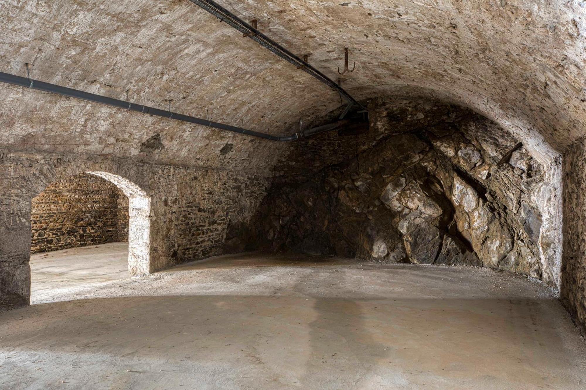 1 - Grand Appartement Spacieux Dans Un Chateau Du 17Eme Siecle, A 15Min De Lyon Vourles Ngoại thất bức ảnh