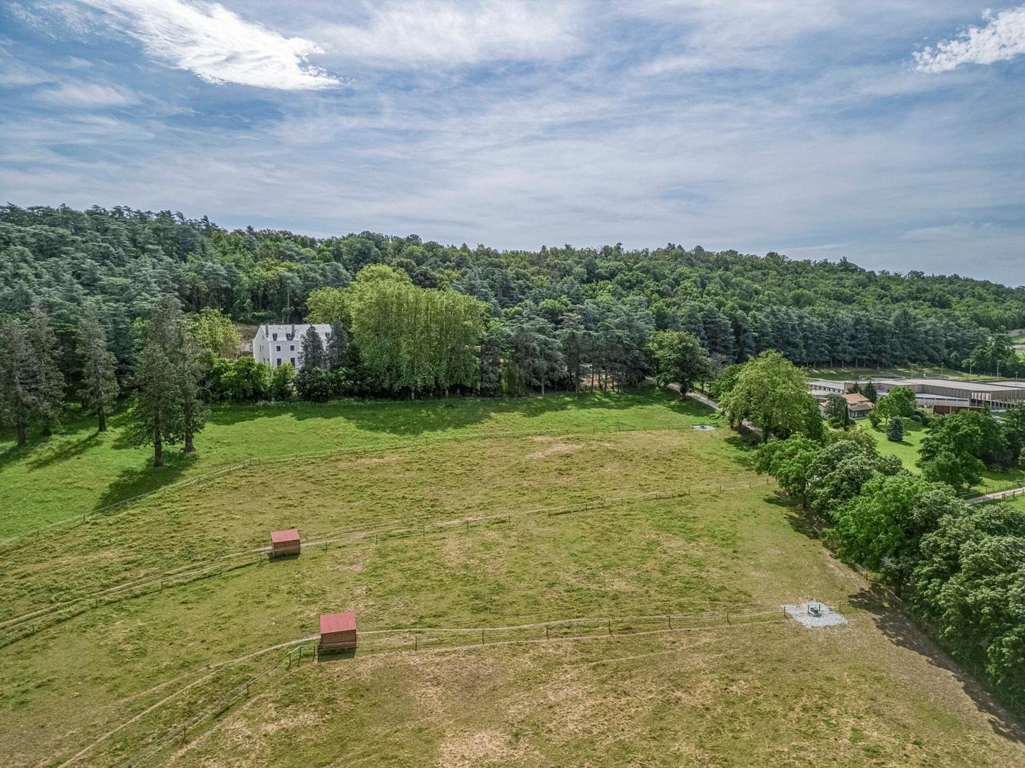 1 - Grand Appartement Spacieux Dans Un Chateau Du 17Eme Siecle, A 15Min De Lyon Vourles Ngoại thất bức ảnh